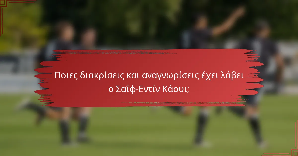 Ποιες διακρίσεις και αναγνωρίσεις έχει λάβει ο Σαΐφ-Εντίν Κάουι;